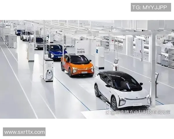 探索WECN在全球能源转型中的关键角色与未来发展趋势分析