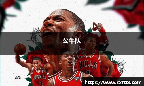 公牛队