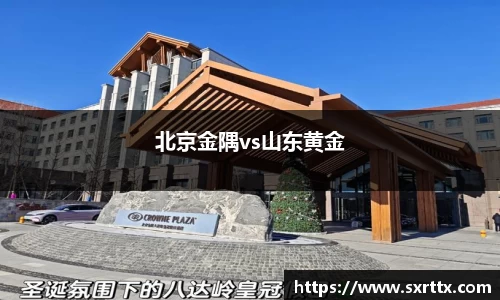 北京金隅vs山东黄金