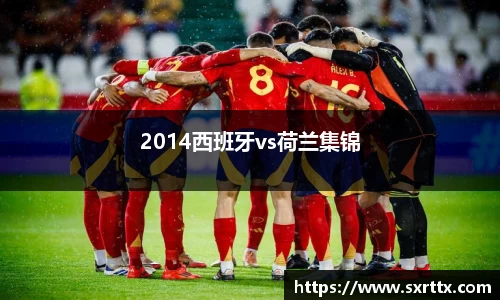 2014西班牙vs荷兰集锦