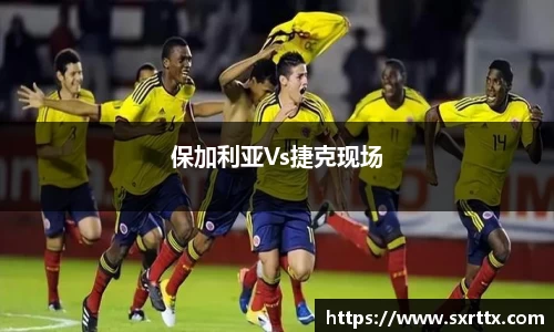 保加利亚Vs捷克现场