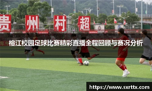 美嘉体育APP