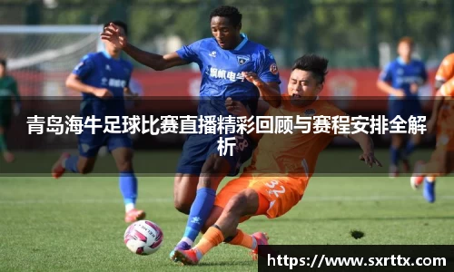 美嘉体育平台