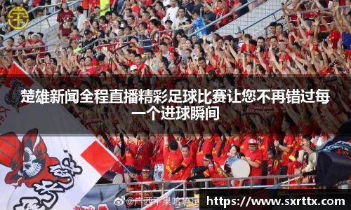 美嘉体育平台