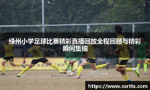 美嘉体育平台