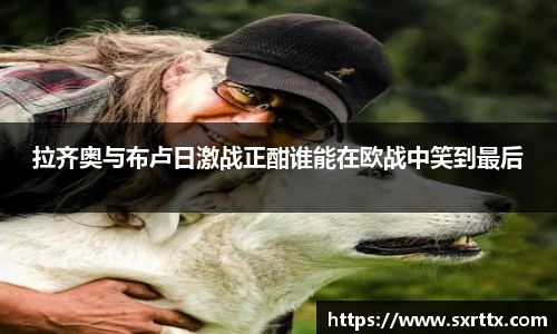 美嘉体育平台